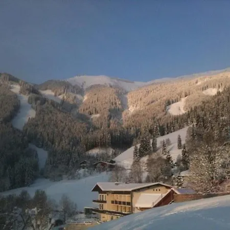 施米德霍夫公寓 公寓