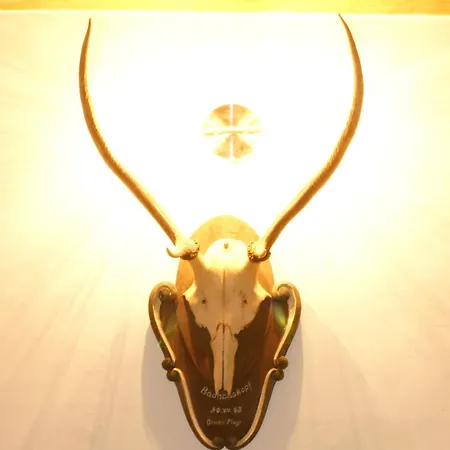 施米德霍夫公寓 公寓 *