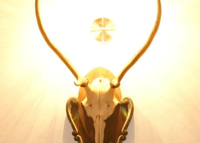 Schmiedhof Appartamento *